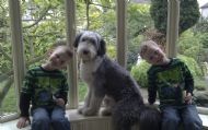 Tilly & her 2 friends